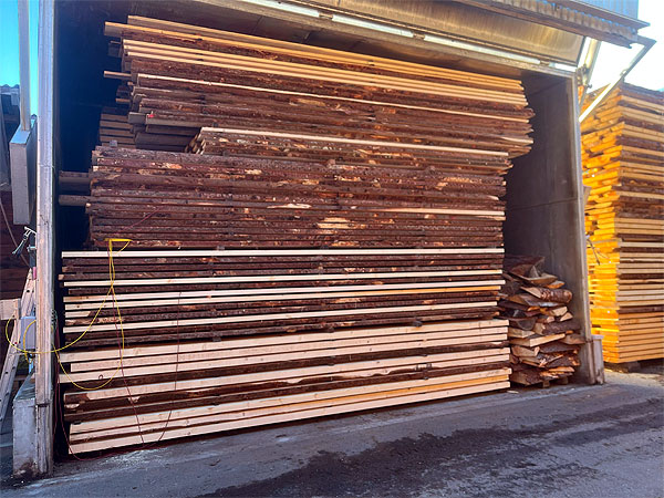 holztrocknung3